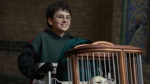 Harry Potter ve Felsefe Taşı 1. Sezon 1. Bölüm